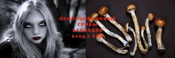 гашик Баксан